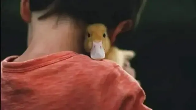 Le harcèlement et le cyberharcèlement sont identifiés par 27% des personnes interrogées comme la principale menace contre ces droits. 