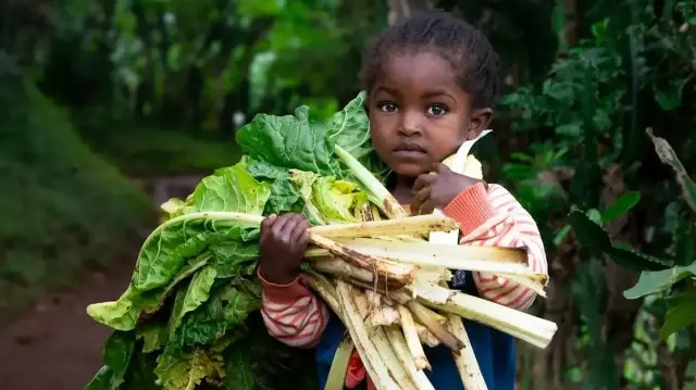 UNICEF report reveals one in five children in poor nations lack basics