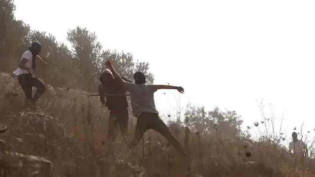 الضفة.. إصابة 5 فلسطينيين بهجوم مستوطنين جنوب الخليل