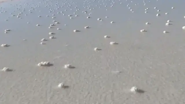 Tuz Gölü'ndeki kuraklığın ardından oluşan tuz kütleleri ziyaretçilerin ilgi odağı oldu
