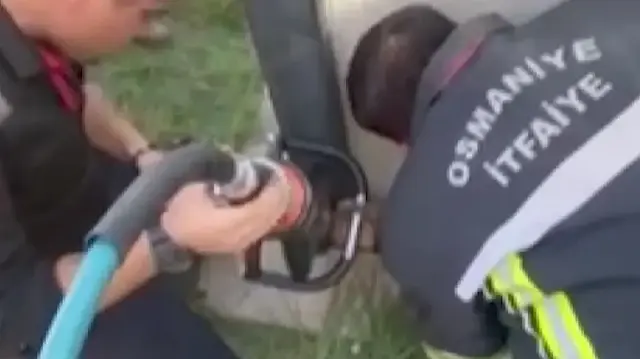 Osmaniye’de konteyner ile duvar arasına sıkışan yavru kedi kurtarıldı