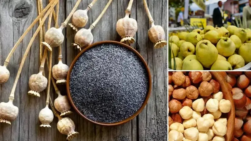 Dünya pazarında Türk tarımı zirvede: 7 üründe lider 22 üründe ilk üçte