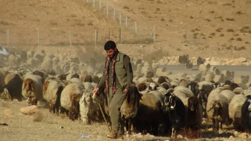 Zorlu yolculuk başladı: '15 gün sonra macera bitecek'