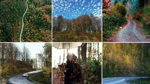 Sakarya's Çam Dağı offers visual feast of autumn colors