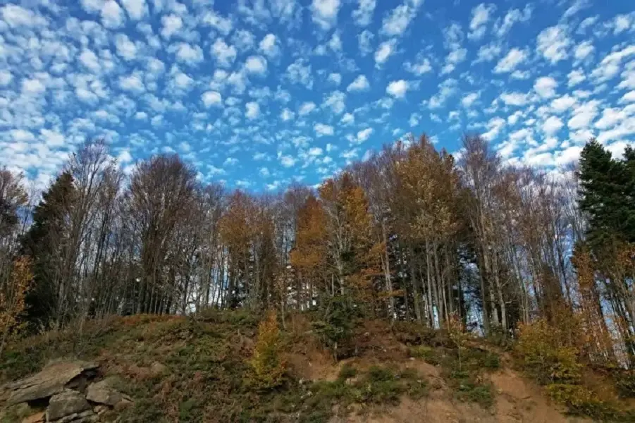 Sakarya's Çam Dağı offers visual feast of autumn colors