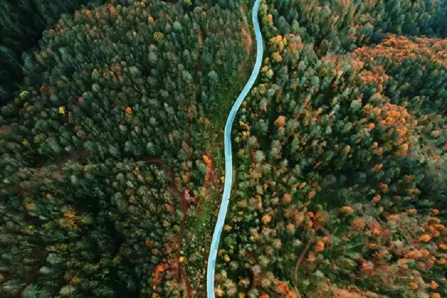 Sakarya's Çam Dağı offers visual feast of autumn colors