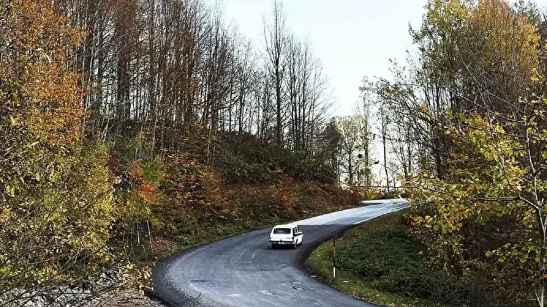 Sakarya's Çam Dağı offers visual feast of autumn colors