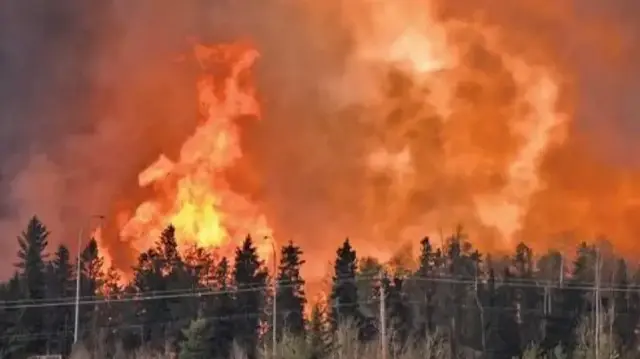 سوريا.. فرق الإطفاء تكافح لإخماد حرائق غابات في اللاذقية وسط صعوبات