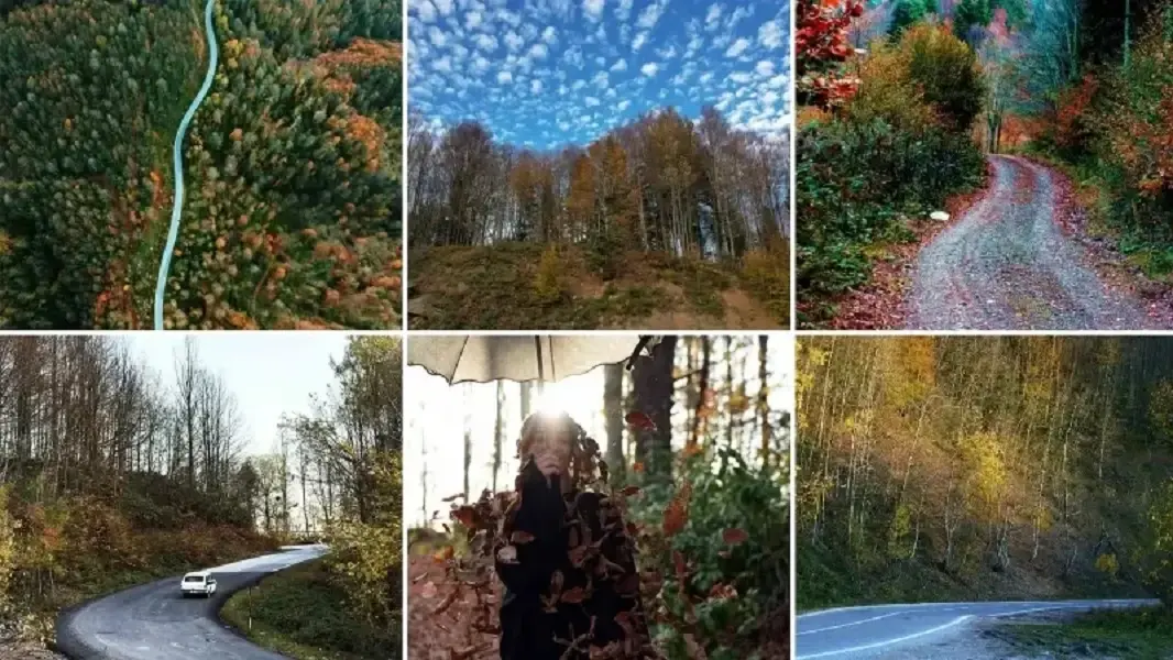 Sakarya's Çam Dağı offers visual feast of autumn colors