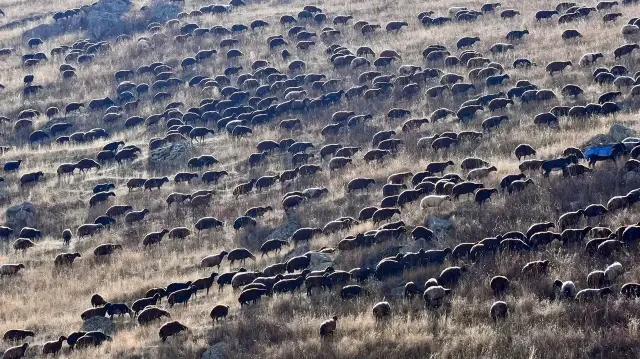 Kars yaylalarındaki göçerlerin dönüş yolculuğu devam ediyor