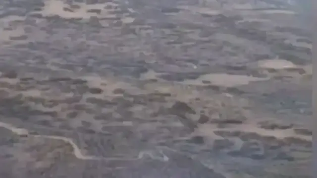 Aydın'da çıkan orman yangını kontrol altında: Ciğerlerimizi yakan ihmale anında gözaltı 