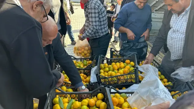 Hatay'da üreticiler alıcı çıkmayan tonlarca mandalinayı ücretsiz dağıttı