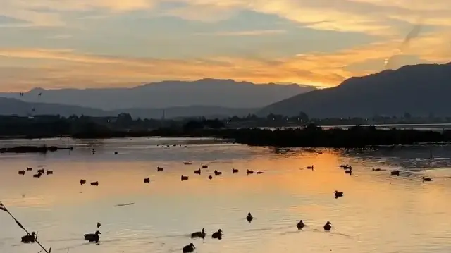 Fethiye'de Kuş Cenneti'nin sakinleri, fotoğrafçılara renkli kareler sunuyor