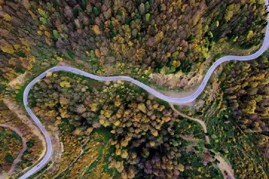 Sakarya's Çam Dağı offers visual feast of autumn colors