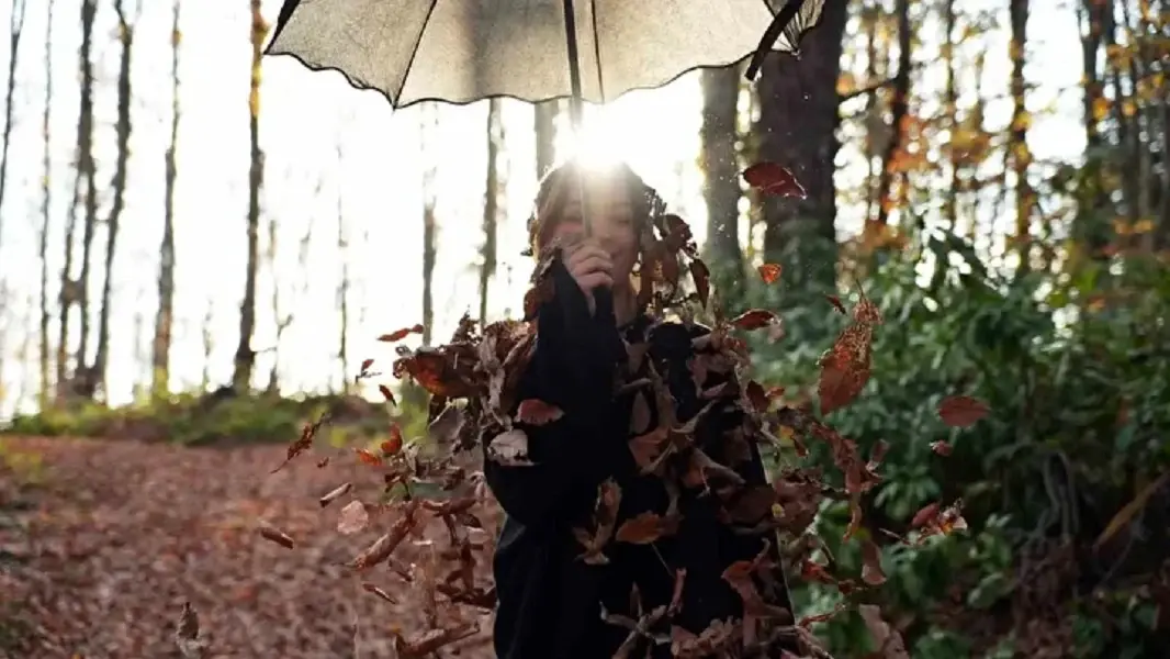 Sakarya's Çam Dağı offers visual feast of autumn colors