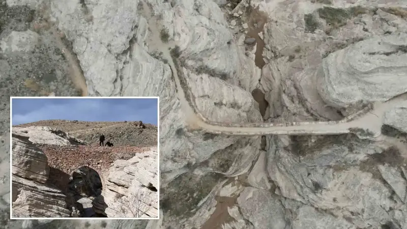 Türkiye'de sadece 2 tane var: Ürkütücü görüntüsüyle dikkat çekiyor! İnsanlar görmek, hikayesini duymak istiyor