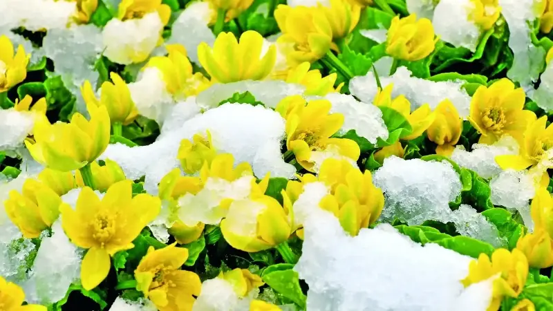 Dergilik: Özel’den ‘özel’ şiirler