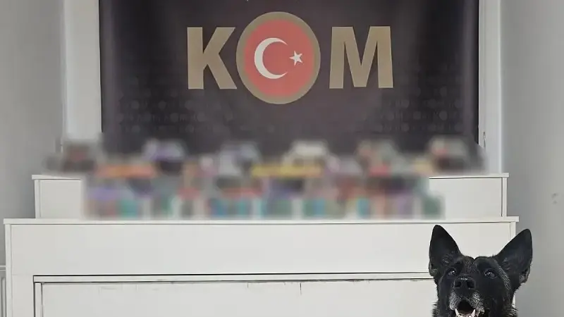 KOCAELİ KUZEY MARMARA VE TEM OTOYOLU'NDA 2 ARAÇTA YAPILAN ARAMADA 600 PAKET ELEKTRONİK SİGARA KARTUŞU İLE 50 BİN DAL İÇİ TÜTÜNLE DOLDURULMUŞ MAKARON ELE GEÇİRİLDİ. OLAYA İLİŞKİN 4 ŞÜPHELİ HAKKINDA İŞLEM BAŞLATILDI.