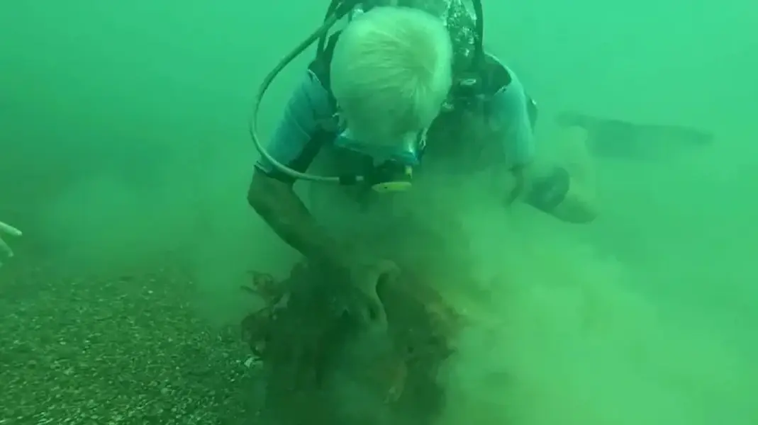 <p><strong>A Sustainable Sanctuary for Marine Life</strong></p><p>The project stands out for its environmentally conscious approach. Professor Gökoğlu emphasized that no foreign materials were introduced to the marine environment. "We did not bring any external material and throw it into the sea. We made a small model with the concrete blocks already in the sea, and a beautiful fish population formed," he stated. The reef has transformed a previously barren, pebbly area into a vibrant hub for marine biodiversity, providing shelter for species like moray eels, octopus, grouper, and lionfish .</p>