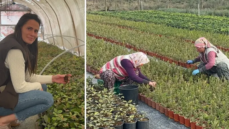 Baba mesleğini sürdüren mühendis kadın 10 kişiye istihdam sağlıyor: Toprak ve çelikten fide üretimi yapıyor