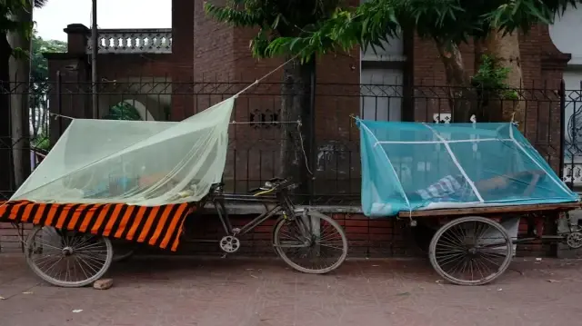 Le Bangladesh enregistre un nombre record de décès liés à la dengue en novembre, une flambée que les experts imputent au climat, aux pluies tardives et à l’urbanisation.