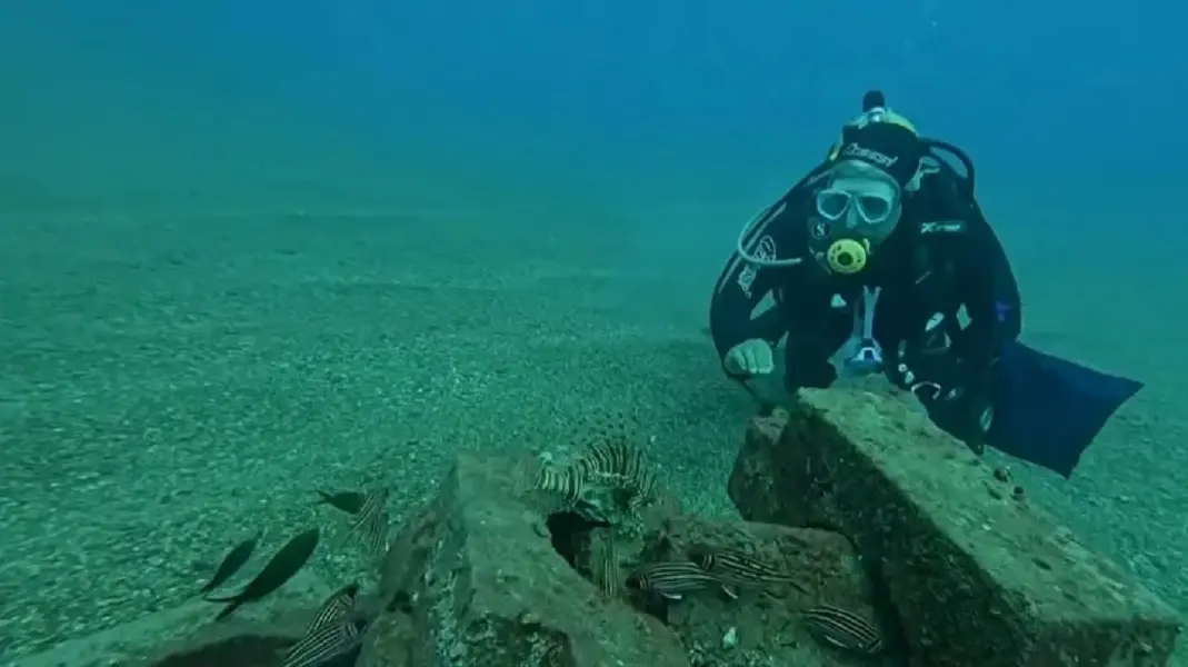 <p><strong>Observing Coexistence and Natural Balance</strong></p><p>The reef has become a living laboratory for observing marine interactions. Gökoğlu noted that the species are coexisting peacefully. "The species live in peace among themselves. We do not see them attacking each other," he observed. He also pointed out a fascinating natural dynamic, noting that groupers appear to avoid areas where lionfish have settled, likely as an instinctual response to the lionfish's spines or venom .</p>