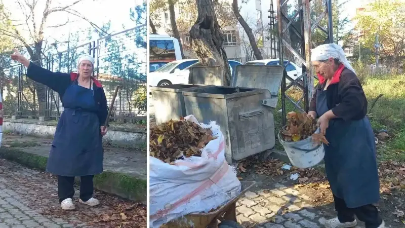 Kendini bu işe adadı: 34 yıldır sonbahar yapraklarını toplayıp gübreye dönüştürüyor
