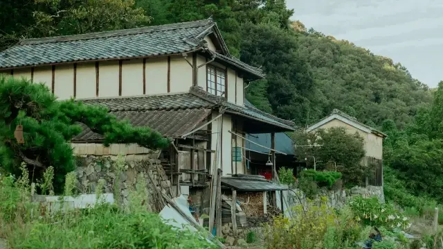 Face à l’essor des logements vacants, des entreprises japonaises exploitent satellites et IA pour repérer les maisons abandonnées et les remettre sur le marché.