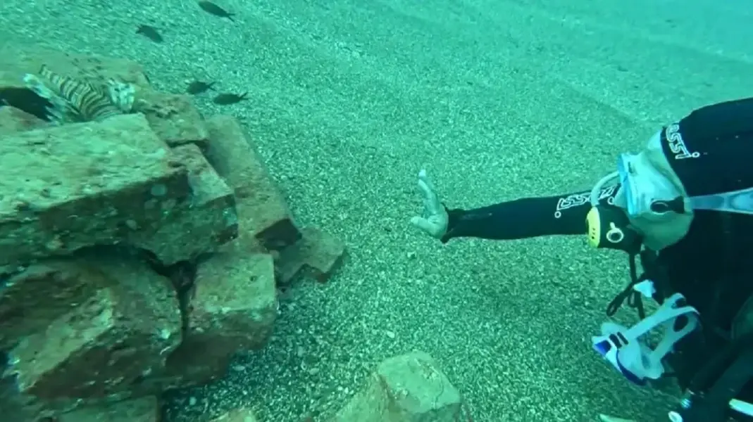 <p><strong>A Model for Future Marine Conservation</strong></p><p>Professor Gökoğlu advocates for the wider use of such artificial reefs as supportive elements for nature. He believes these structures are crucial for strengthening the marine ecosystem. The success of this small-scale model on the Turkish coast demonstrates a simple, low-cost, and effective method for supporting fish populations and enhancing local biodiversity, offering a promising strategy for marine conservation efforts .</p>