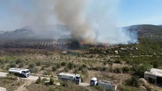 سوريا.. الدفاع المدني يواصل مكافحة حرائق غابات باللاذقية