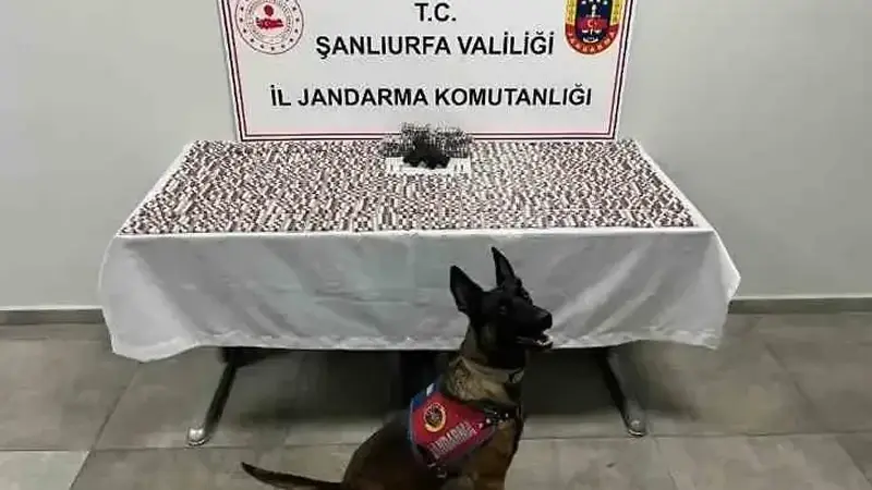 Ele geçirilen uyuşturucular.