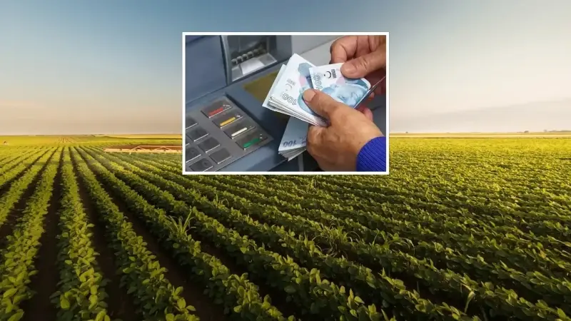 Türkiye'de faaliyette bulunan 13 organize tarım bölgesiyle 8 bin kişiye doğrudan istihdam oluşturularak her yıl ekonomiye 15 milyar lira katkı sağlanıyor.