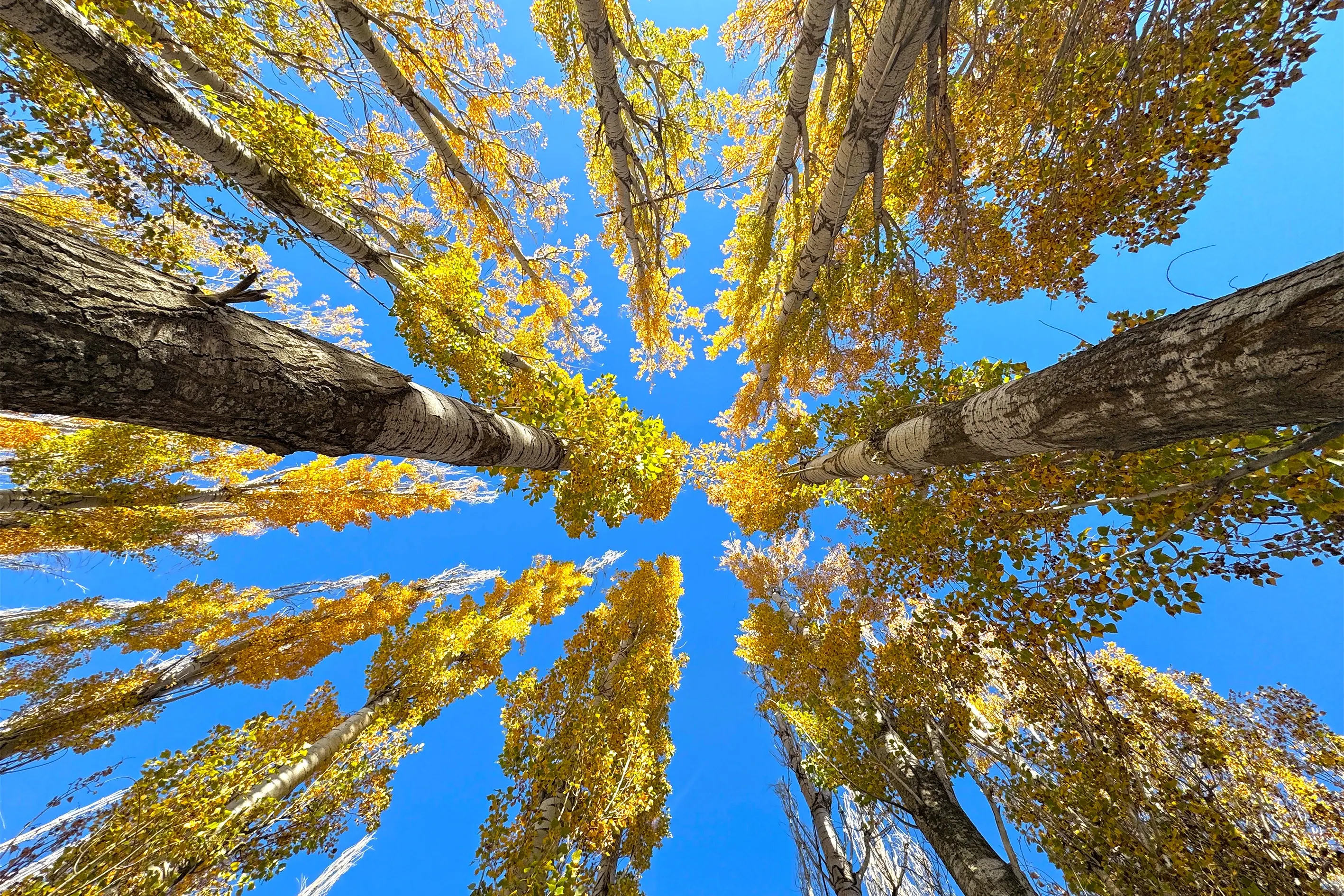 Autumn transforms Lake Hazar into a vibrant tapestry in Eastern Türkiye