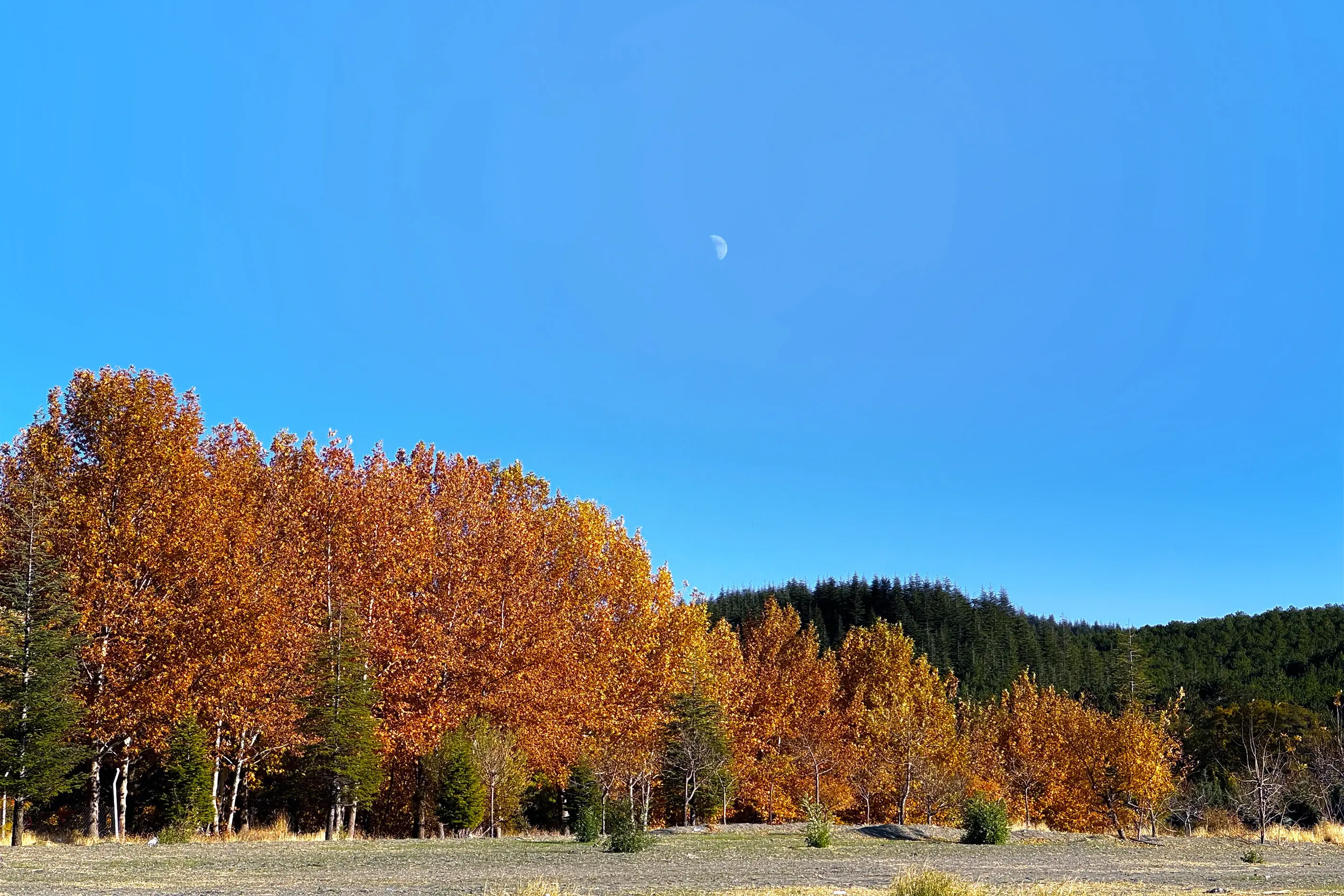 Autumn transforms Lake Hazar into a vibrant tapestry in Eastern Türkiye