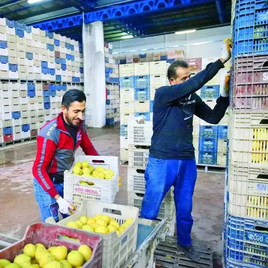 Bu kez hal çaresine bakalım: Sebze ve meyvede fiyatları düşürecek yasa geliyor