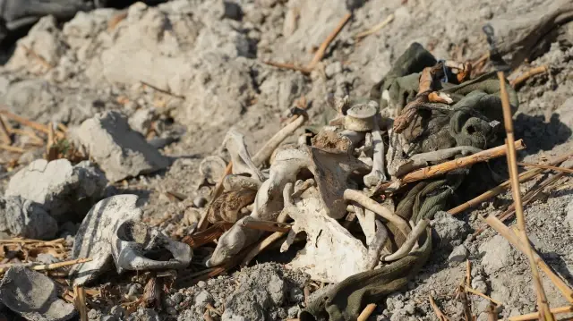 Un charnier contenant les restes d'environ 170 personnes tuées lors d'une embuscade tendue en 2014 par l'ancien régime et les milices alliées a été découvert à la périphérie d'Ataybeh, dans la campagne de Damas, Rif Dimashq, Syrie, le 18 septembre 2025. 