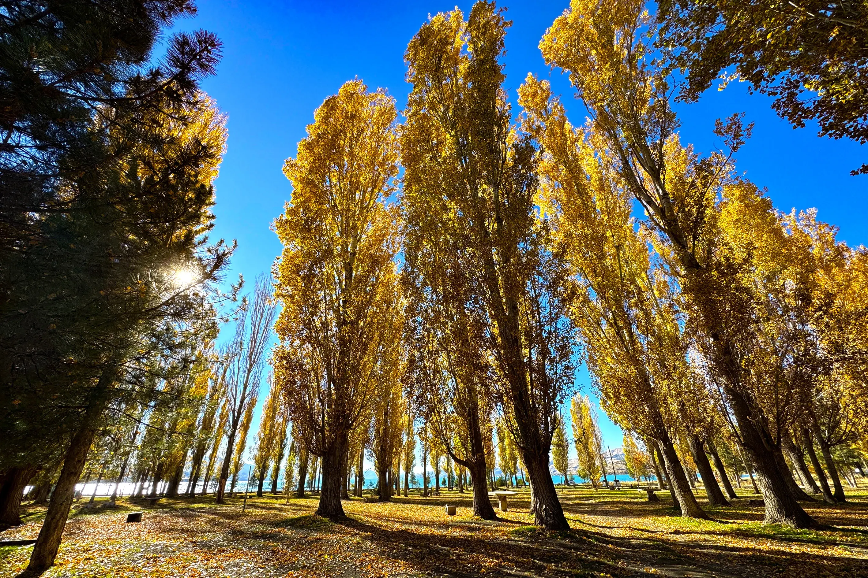Autumn transforms Lake Hazar into a vibrant tapestry in Eastern Türkiye