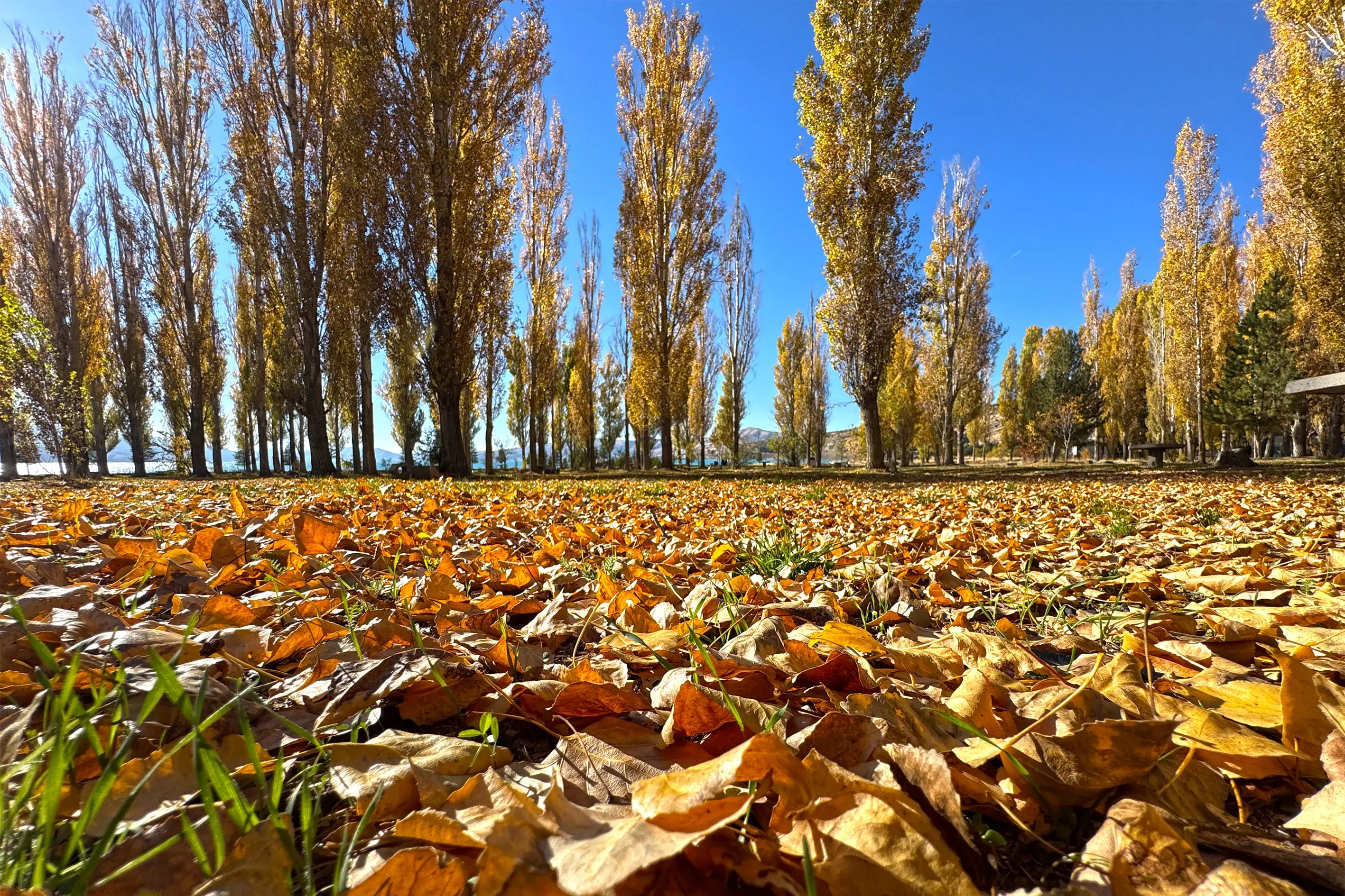 Autumn transforms Lake Hazar into a vibrant tapestry in Eastern Türkiye