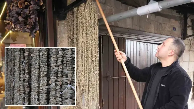 Kışın vazgeçilmezi: Kuru bamya 2 bin TL’den tezgahta 