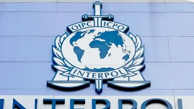MAP: Интерпол предупредил об угрозах транснациональных мошеннических центров