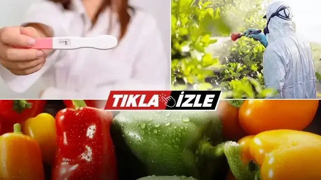 Sofralardaki zehir 'pestisit': Hem hormonları bozuyor hem de kısırlık yapıyor 