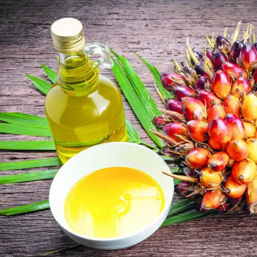 Palm yağı ile ikili ticareti artırmak istiyor