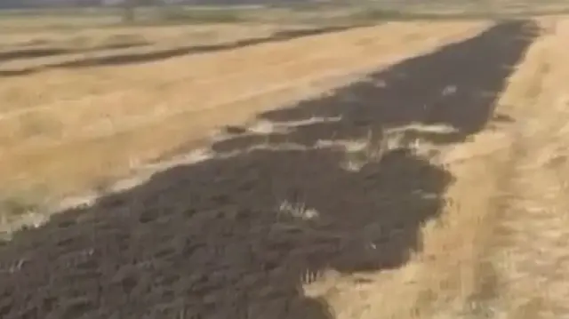 Boş araziye 26 kamyon arıtma çamuru döken firmaya bakanlıktan rekor ceza