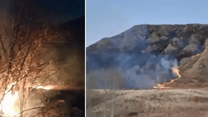 Erzurum'daki örtü yangını söndürüldü