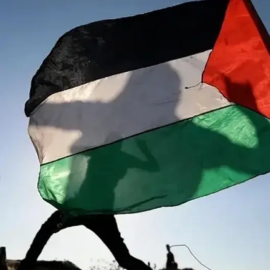 فلسطين تدعو إلى تعزيز التضامن الدولي معها ومحاسبة الاحتلال 
