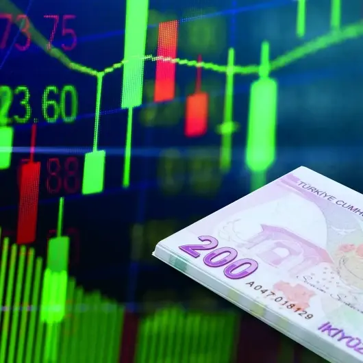 Yatırımcı TL'de ısrarcı