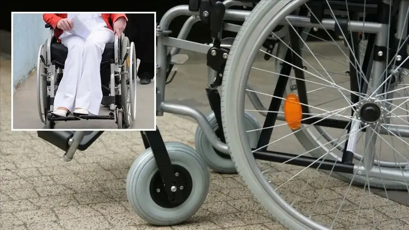 Artış, engelli kadınların hem üretime hem de kendi işini kurma alanında giderek daha güçlü bir rol üstlendiğini gösteriyor.