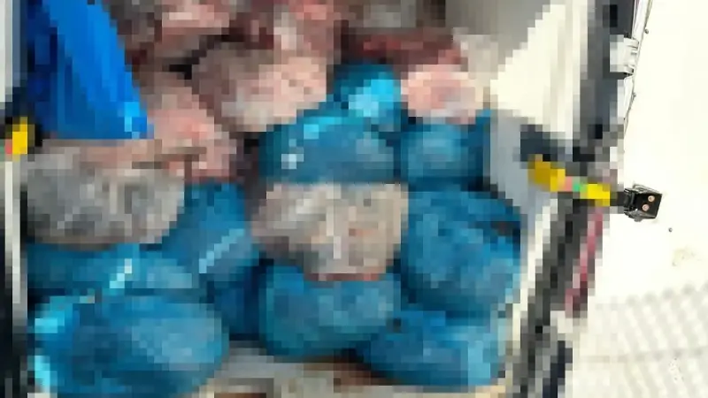 Araç sürücüsü hakkında adli işlem başlatıldı. 