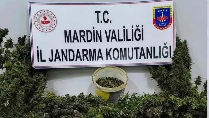 MARDİN’DE JANDARMA EKİPLERİNCE DÜZENLENEN UYUŞTURUCU OPERASYONUNDA 3 ŞAHIS TUTUKLANDI.