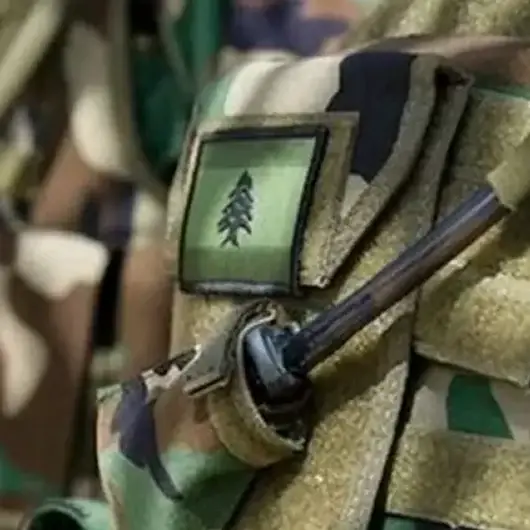 جيش لبنان يرفع حالة الاستنفار جنوبًا ردا على تحركات اسرائيلية 
